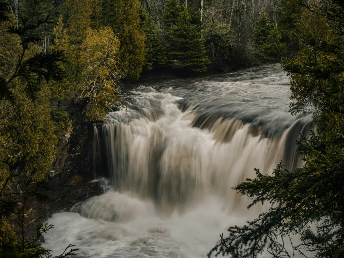 Tiered waterfall rushing through an evergreen forest.